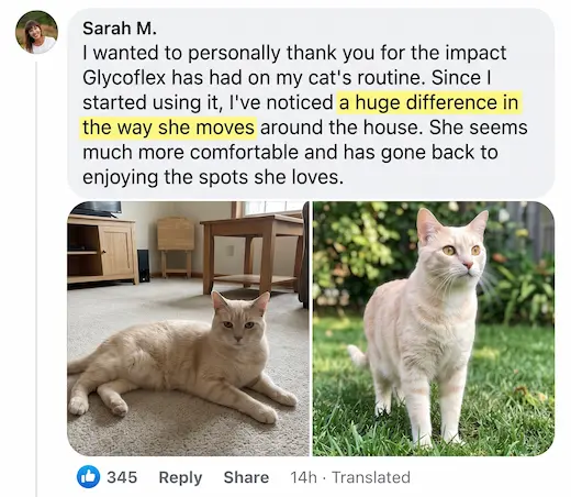 Before and after photos shared by a cat owner, 1 of 6