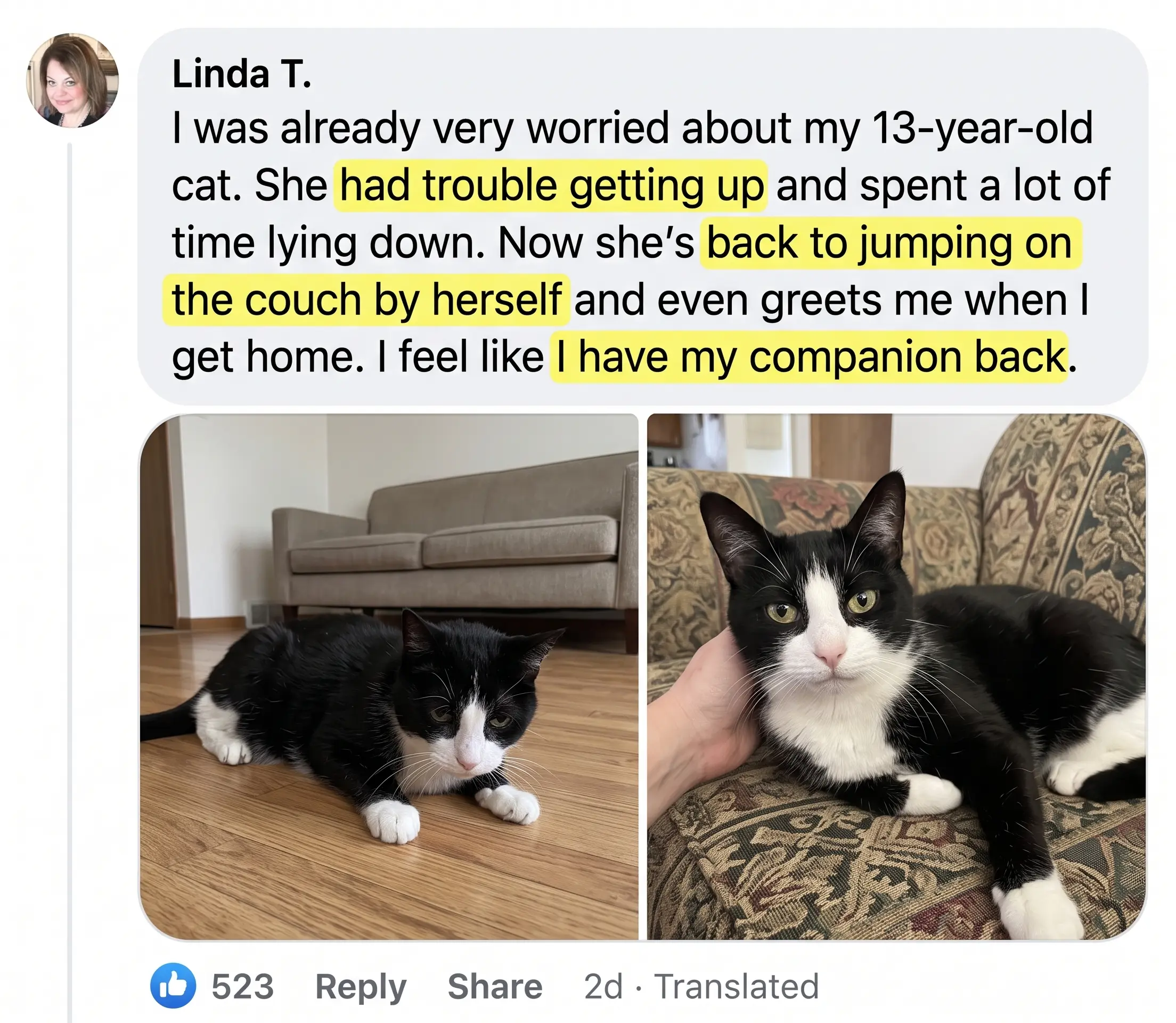 Before and after photos shared by a cat owner, 2 of 6