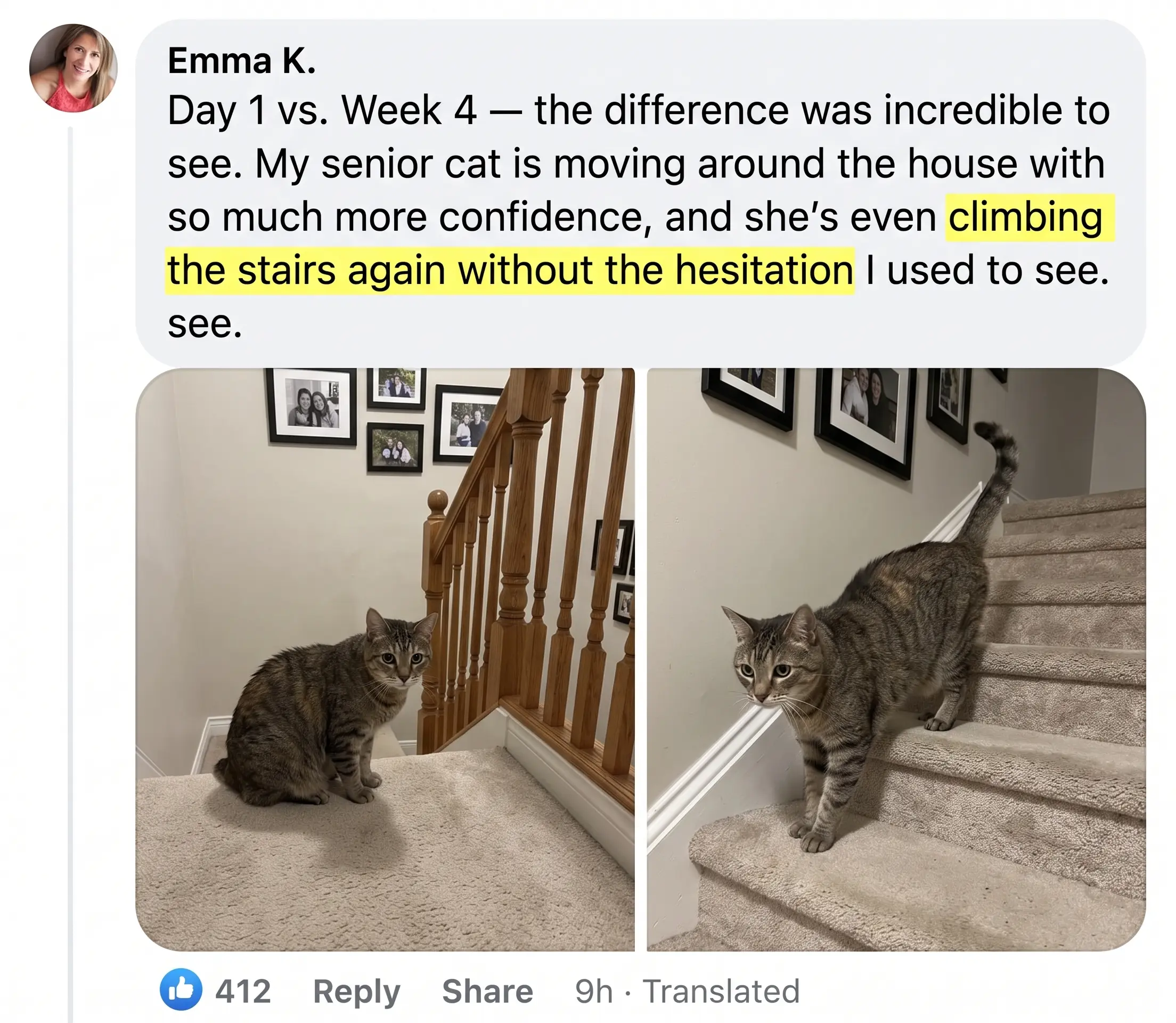 Before and after photos shared by a cat owner, 3 of 6