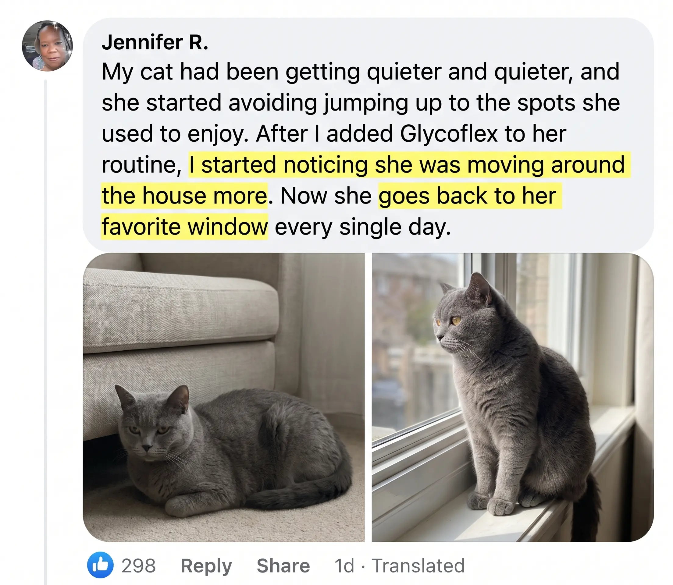 Before and after photos shared by a cat owner, 4 of 6