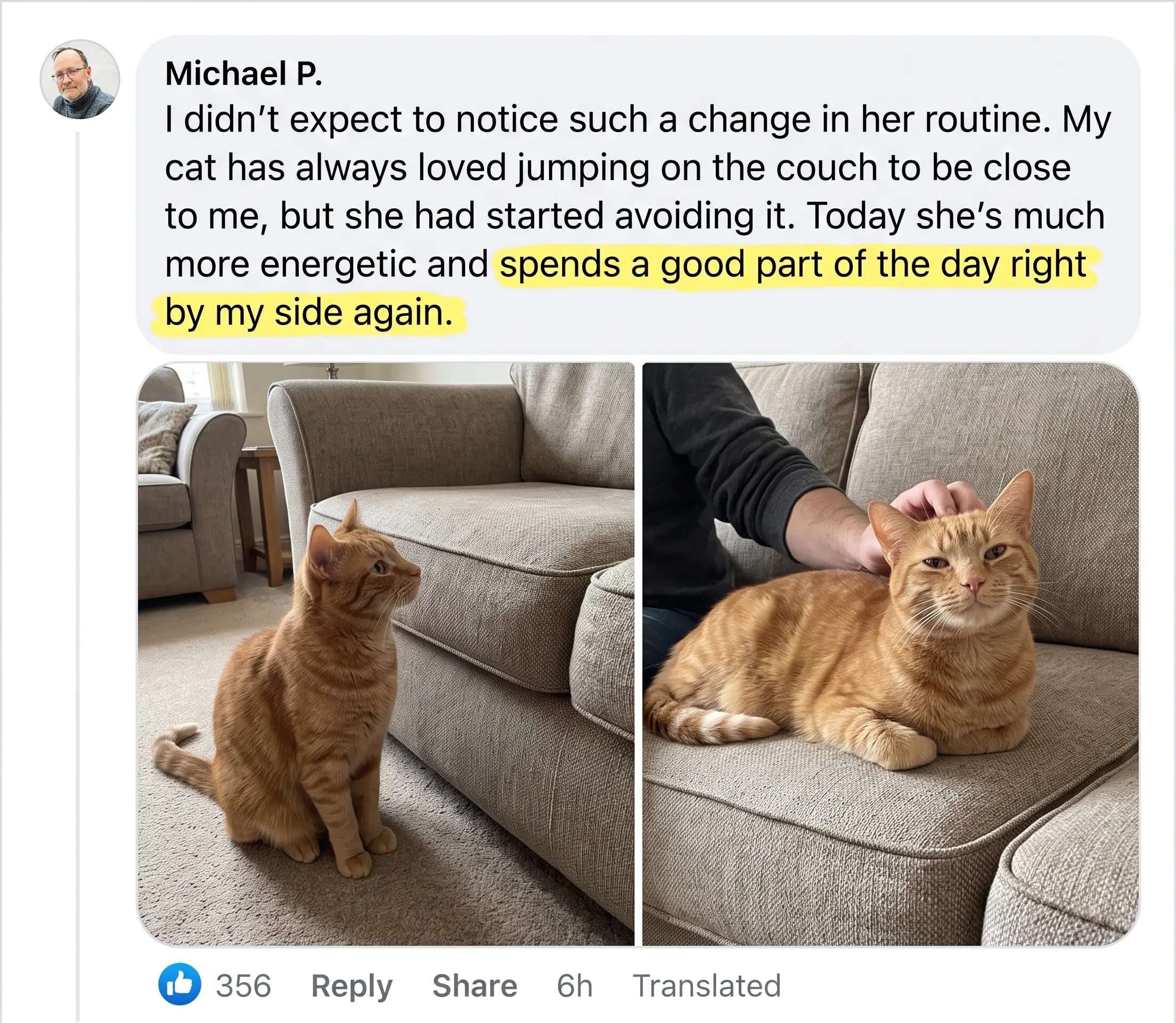 Before and after photos shared by a cat owner, 5 of 6
