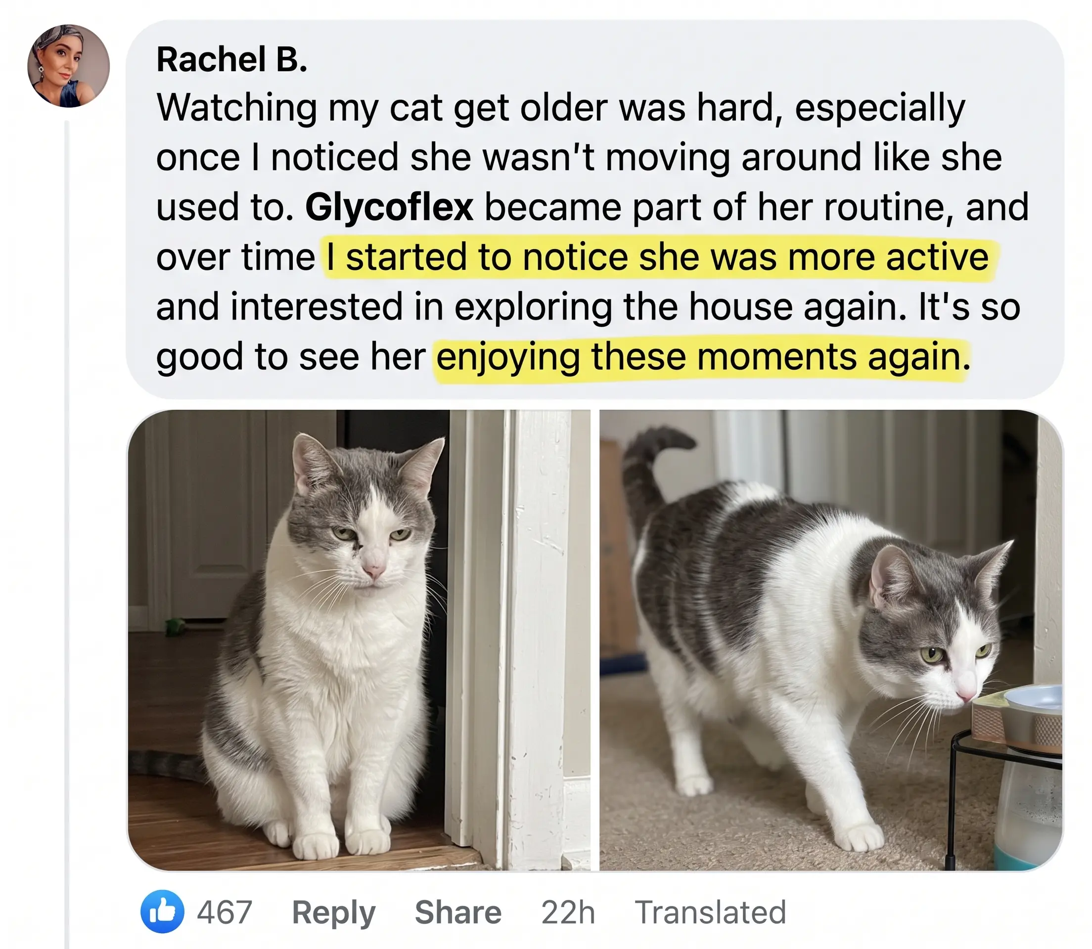 Before and after photos shared by a cat owner, 6 of 6