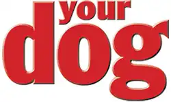 Your Dog