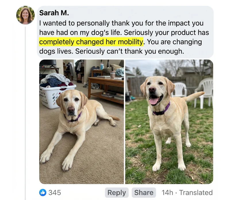 Before and after photos shared by a customer, 1 of 6