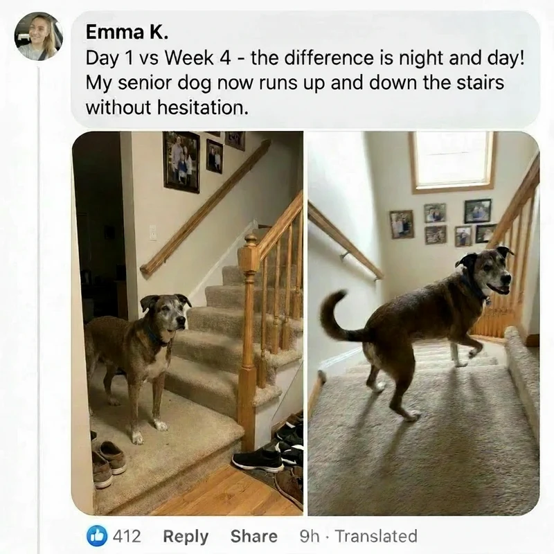 Before and after photos shared by a customer, 3 of 6