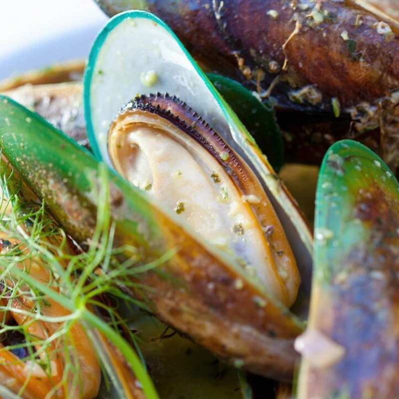 Close-up of green lipped mussels