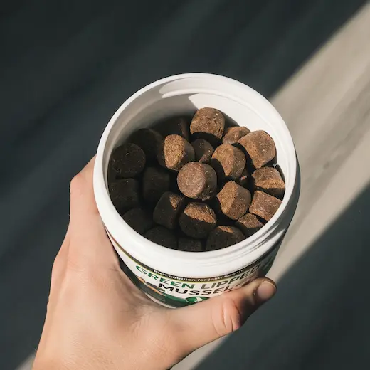 An open tub of green lipped mussel soft chews