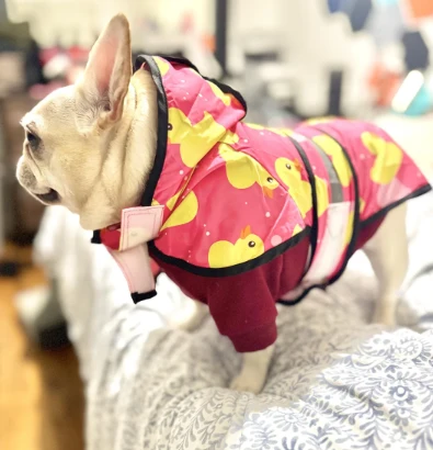 A customer&rsquo;s dog