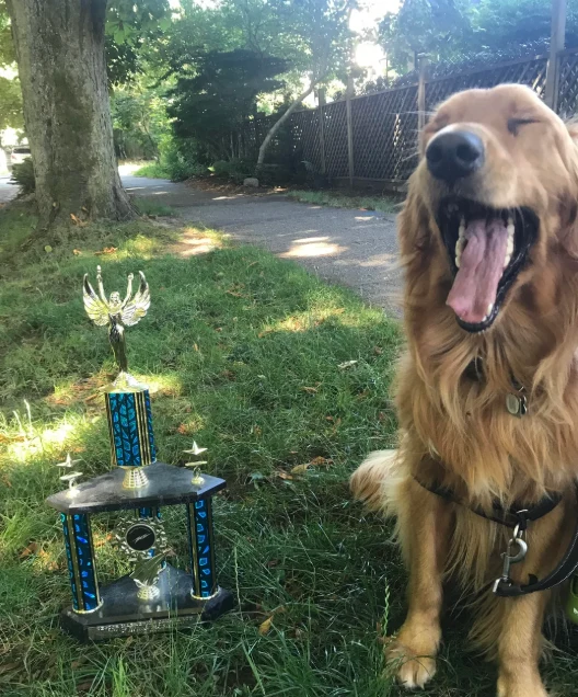 A customer&rsquo;s dog
