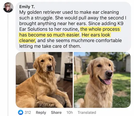 Photo shared by a customer, 2 of 6